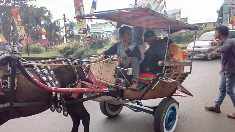 Tak Ada Angkot, Delman di Garut Pun Jadi