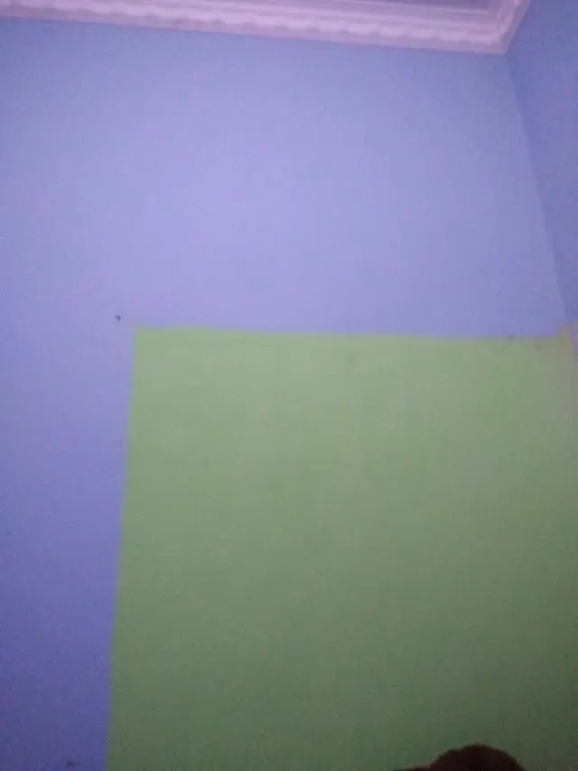 Gagal Estetik, 6 Potret Dinding Rumah Warna-Warni Ini Malah Bikin Pusing