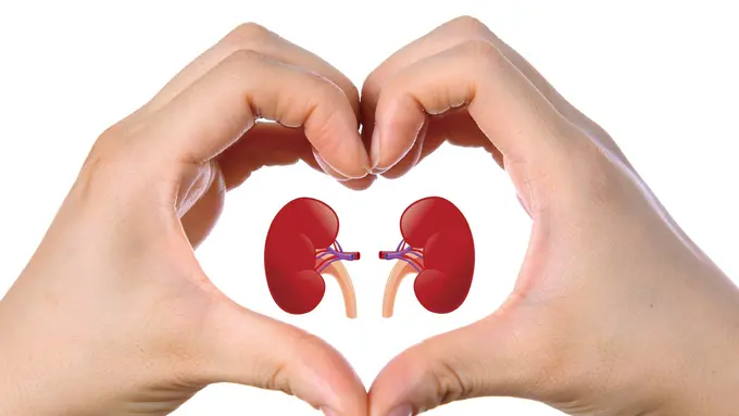 5 Minuman Ajaib Ini Bisa Luruhkan Penyakit pada Ginjal