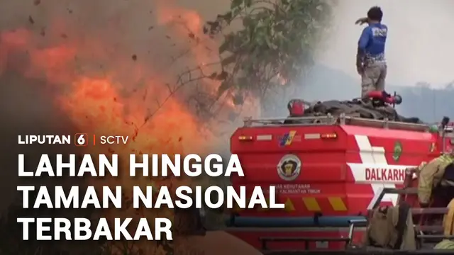 Kebakaran Hutan dan Lahan, Kalimantan dan Sumatra Masih Membara