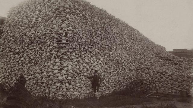 9 Foto Sejarah Paling Mengerikan yang Misterius Sampai Kini