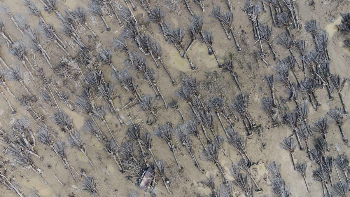 Kerusakan Listrik Aceh Terparah Sepanjang Sejarah, Bos PLN: Lebih Parah dari Tsunami 2004