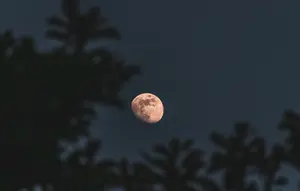 Titik untuk Melihat Hunter's Moon, Ini Waktu Terbaik untuk Menyaksikannya