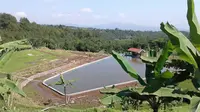 Para petani di Toli-Toli, Sulawesi Tengah, merasakan manfaatkan dari hadirnya embung. (Dok Kementan)