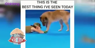 Anjing Beri Napas Buatan untuk Manusia