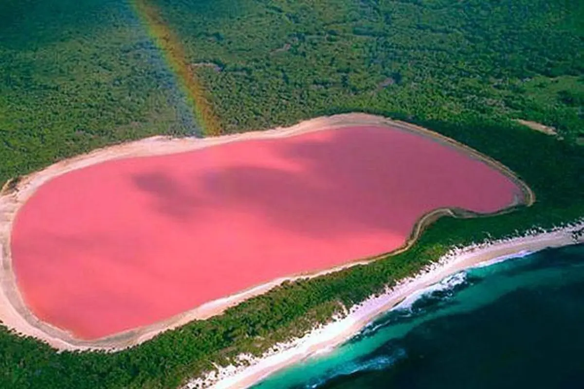 Mengintip Pesona Danau Pink di Australia Barat