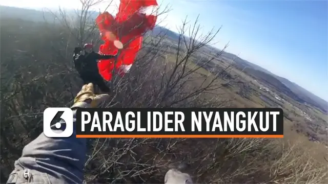 paraglider