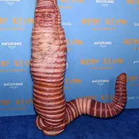 Kostum Halloween 2022 Ratu Halloween Heidi Klum (Foto: Instagram @heidiklum)