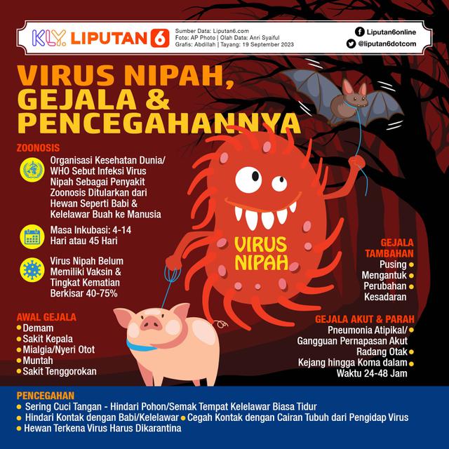 Infografis Virus Nipah, Gejala dan Pencegahannya. (Liputan6.com/Abdillah)