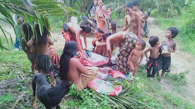 Orang Rimba