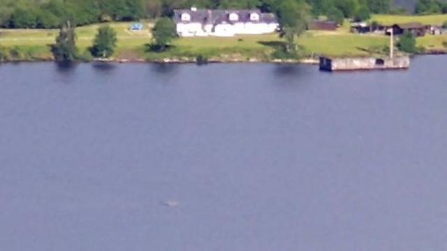 Penampakan Nessi di danau Loch Ness, Skotlandia yang terekam dalam ponsel Ross MacAulay. (Mirror)
