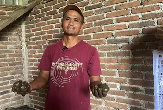 Perajin telur asin di Madiun