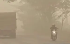 Kabut Asap Kebakaran Hutan Selimuti Kapuas, Jarak Pandang 100 Meter