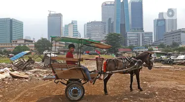 Pekerja mempersiapkan delman di kampung delman kawasan Menteng Dalam, Jakarta, Senin (27/9/2021). Para pekerja delman berharap pelonggaran PPKM membawa harapan mereka untuk kembali bekerja normal seperti biasanya. (Liputan6.com/Herman Zakharia)