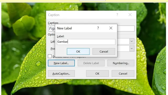 Cara membuat daftar gambar di Microsoft Word