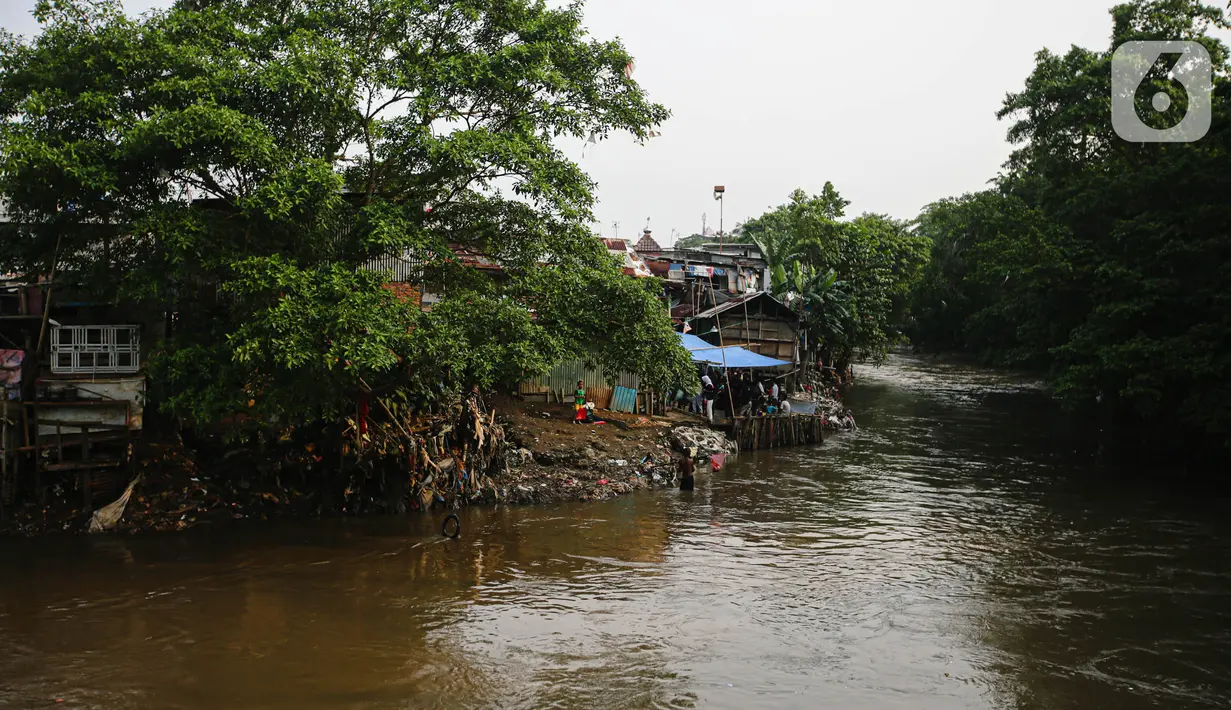 Memiliki panjang total 120 km, Sungai Ciliwung berperan penting dalam pengelolaan air di Provinsi DKI Jakarta hingga Bogor, Jawa Barat. (Liputan6.com/Faizal Fanani)