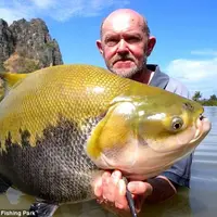 Ikan berukuran super besar di 'danau rahasia', Thailand. (Jurassic Mountain Resort & Fishing Park)
