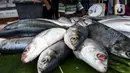 Ikan bandeng dijajakan saat dijual di kawasan Rawa Belong, Jakarta Barat, Rabu (10/2/2021). Para pedagang ikan bandeng berdagang di pinggir jalan dan menjajakan kapada setiap pengendara yang melintas. (Liputan6.com/Johan Tallo)
