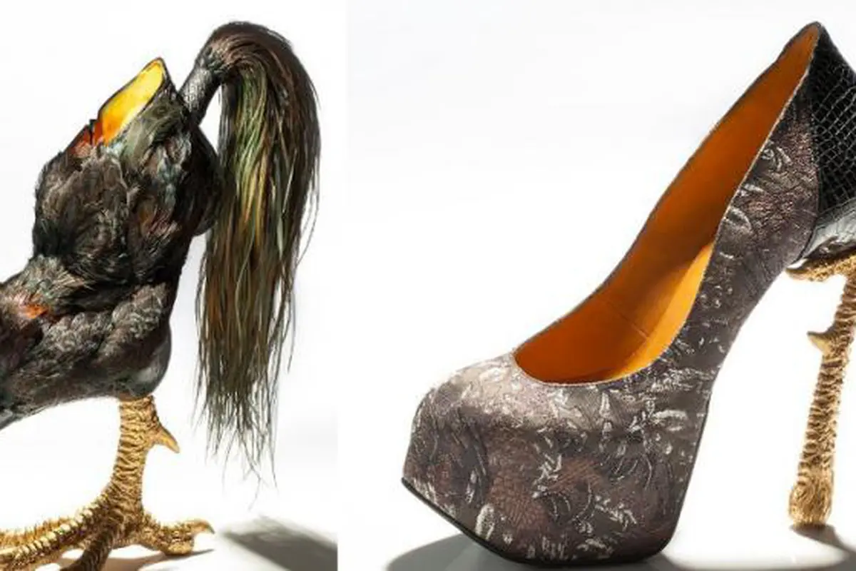 Sepatu dari Cakar Ayam
