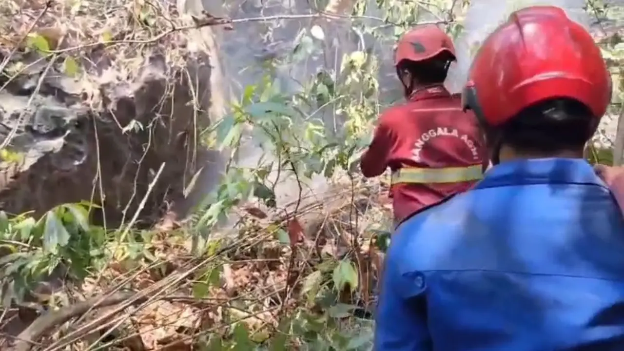 Kebakaran hutan dan lahan (karhutla) di kawasan Taman Nasional Bantimurung-Bulusaraung (TN Babul).