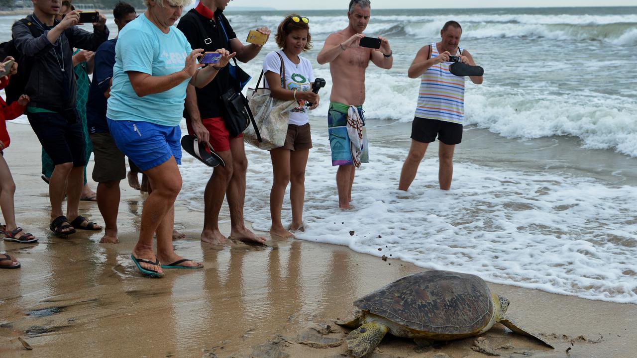 Wisatawan China - ilustrasi