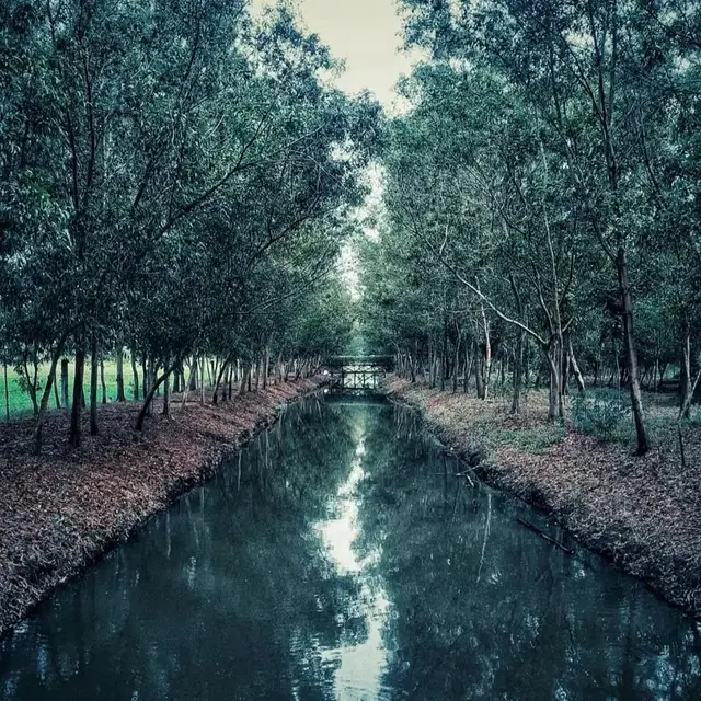 Tempat Wisata di Surabaya Hutan Kota Pakal