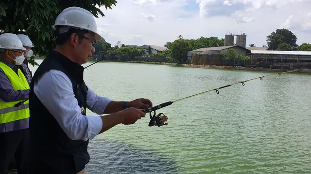Gubernur Jawa Barat, Ridwan Kamil saat memancing ikan di Situ Rawa Kalong, Kecamatan Cimanggis, Kota Depok