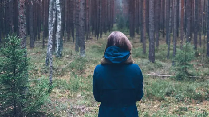 Foto: copyright pexels.com