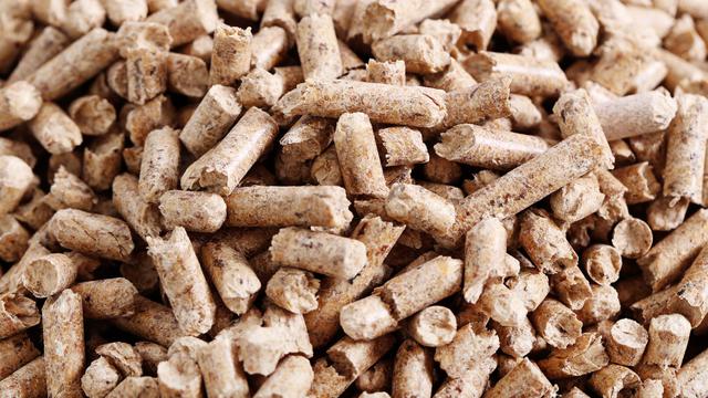 Produksi Biomassa di Gorontalo Dipastikan Taat Aturan dan Ikuti Prosedur