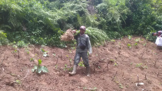 Kemenhut Bantah Pembatasan Penggunaan Drone di TN Bromo Tengger Semeru demi Tutupi Keberadaan Ladang Ganja