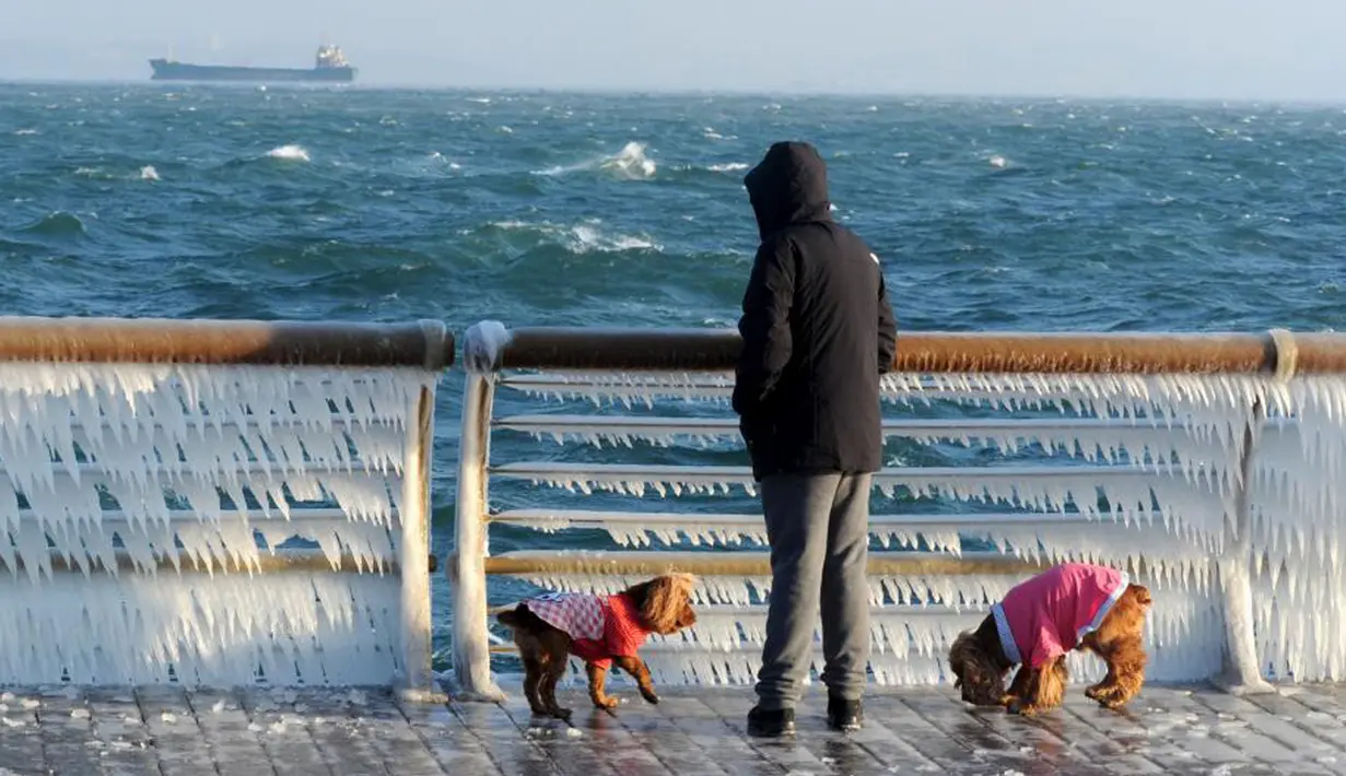 Seorang pria dan anjingnya melihat pagar pantai yang membeku akibat dinginnya suhu di Dalian, provinsi Liaoning (25/11/2015). (REUTERS / Stringer)