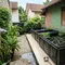 10 Cara Menempatkan Kolam Lele agar Tidak Mengganggu Tetangga, Cocok untuk Pekarangan Rumah