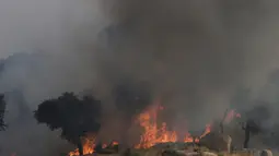 Lebih dari 100 ribu hektare hutan terbakar di Lagoa, Portugal, Kamis (8/9). Gelombang kebakaran hutan ini melanda tujuh wilayah. (REUTERS / Miguel Vidal)