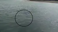 Kata Ahli BMKG soal Gelembung Besar yang Muncul di Pantai Gunung Anak Krakatau