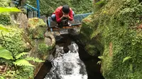 Mengenal Arboretum Titik Nol Sungai Brantas dan Keanekaragaman Hayatinya
