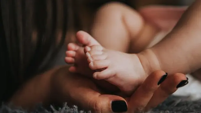 copyright pexels.com