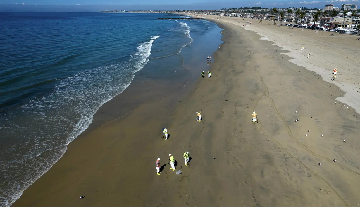 Pekerja membersihkan minyak dari pasir di Pantai Newport, California, Amerika Serikat, Selasa (5/10/2021). Kebocoran pipa menyebabkan tumpahan minyak di lepas pantai California. (Jeff Gritchen/The Orange County Register via AP)