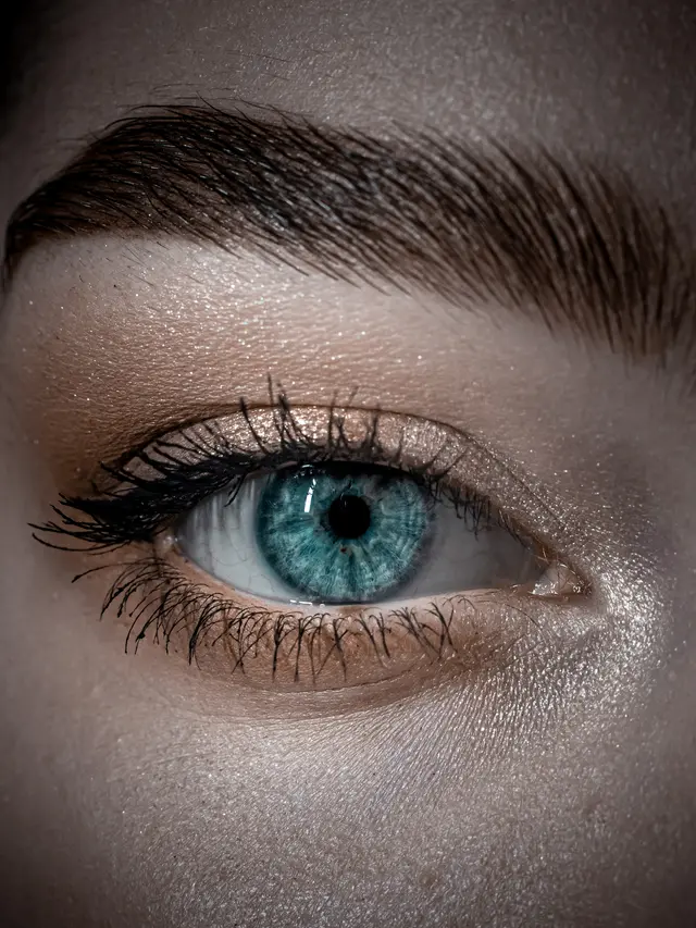 eyeshadow