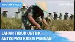 Kasad Jenderal TNI, Dudung Abdurachman, meminta satuan jajaran TNI AD menciptakan lahan kosong menjadi lahan produktif. Lahan tersebut nantinya bisa dimanfaatkan sebagai lahan pertanian untuk meningkatkan produksi pangan dan mengantisipasi jika sewak...