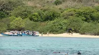 Dinamakan Pulau Menjangan karena di pulau tak berpenghuni ini terlihat ada banyak menjangan, tapi populasinya kian menurun. 