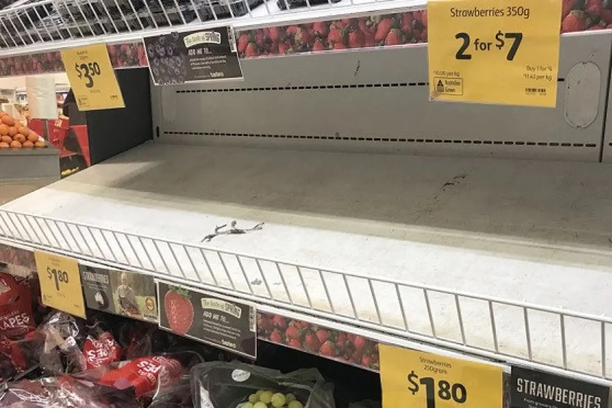 Stroberi di Australia