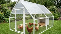 8 Jenis Rangka Kandang Ayam yang Ringan tapi Awet, Kokoh, dan Hemat Biaya