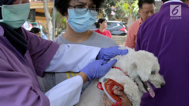 Hari Bebas Rabies Internasional, Sudin KPKP Jakarta Timur Vaksinasi Hewan Gratis