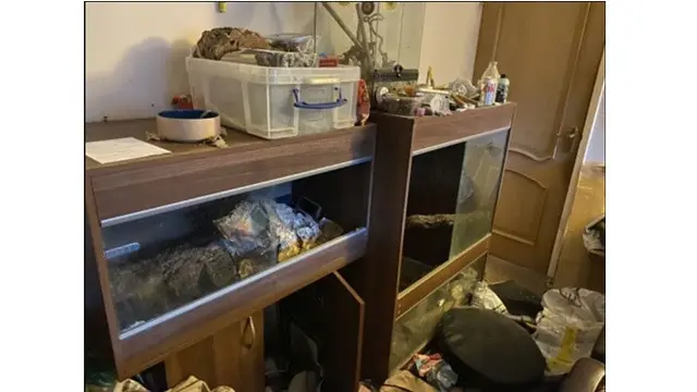 Ditinggal Penyewa, Kondisi Rumah Ini Ngeri Penuh Sampah dan Hewan Berbahaya