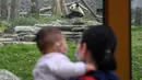Pengunjung mengamati seekor panda raksasa di Kebun Binatang Wuhan, Wuhan, Provinsi Hubei, China, Rabu (22/4/2020). Para wisatawan diimbau untuk melakukan reservasi daring (online) terlebih dahulu serta wajib menunjukkan kode kesehatan dan diukur suhunya sebelum masuk. (Xinhua/Cheng Min)