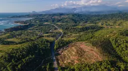 Forest Watch Indonesia (FWI) mencatat luas hutan di Provinsi Aceh berkurang sekitar 177 ribu hektare dalam waktu tujuh tahun. Tampak foto udara menunjukkan pemandangan umum area penanaman baru untuk perkebunan kelapa sawit di Lamno, Provinsi Aceh, Minggu 18 Januari 2026. (CHAIDEER MAHYUDDIN/AFP)