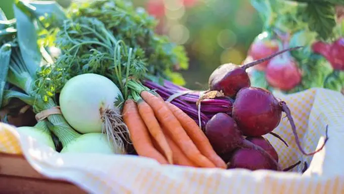 Makanan yang tak perlu dikulkas/copyright Pexels.com