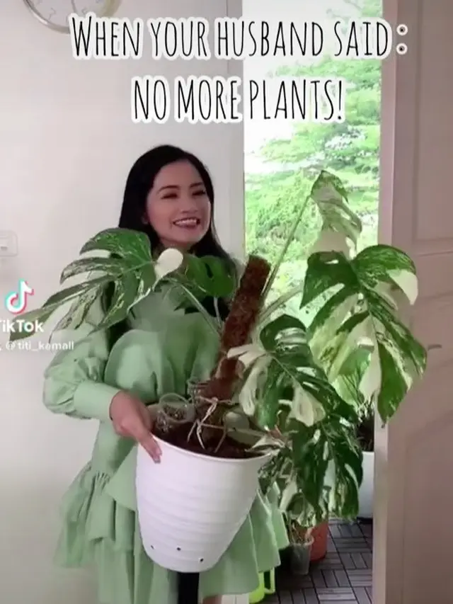 Kebun Titi Kamal di Rumahnya