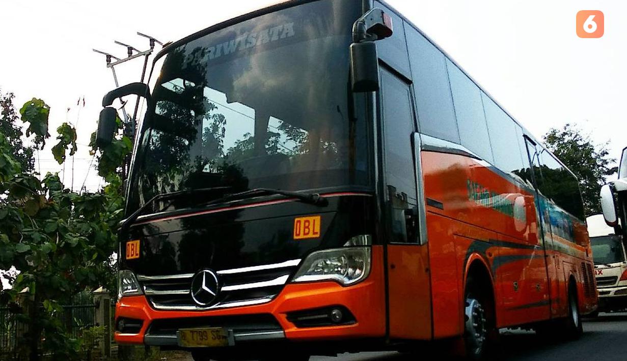 Tourismo merupakan bus produksi Adi Putro yang pernah dipamerkan di IIMS 2012. Bus ini memiliki desain elegan yang terlihat dari grill depan berbahan chrome dan bemper sporty. Bus ini dibangun pada sasis Mercedes-Benz OH 1830 dan satu-satunya di Indonesia dan dimiliki oleh Safari Dharma Raya