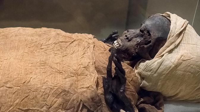 Gambar selebaran yang dirilis oleh Kementerian Pariwisata dan Purbakala Mesir pada 17 Februari 2021 menunjukkan penampakan mumi raja Mesir kuno Seqenenre Taa II. Ilmuwan Mesir telah menetapkan bahwa firaun Seqenenre Taa II tewas dalam pertempuran. (Egyptian Ministry of Antiquities/AFP)